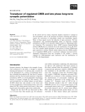 Báo cáo khoa học: Transducer of regulated CREB and late phase long-term synaptic potentiation