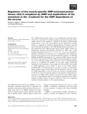 Báo cáo khoa học: Regulation of the muscle-speciﬁc AMP-activated protein kinase a2b2c3 complexes by AMP and implications of the mutations in the c3-subunit for the AMP dependence of the enzyme