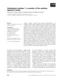 Báo cáo khoa học: Arabidopsis amidase 1, a member of the amidase signature family