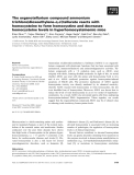 Báo cáo khoa học: The organotellurium compound ammonium trichloro(dioxoethylene-o,o¢)tellurate reacts with homocysteine to form homocystine and decreases homocysteine levels in hyperhomocysteinemic mice