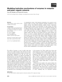 Báo cáo khoa học: Modeling hydration mechanisms of enzymes in nonpolar and polar organic solvents