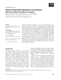 Báo cáo khoa học:  Seleno-independent glutathione peroxidases More than simple antioxidant scavengers