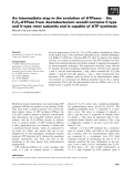Báo cáo khoa học: An intermediate step in the evolution of ATPases ) the F1F0-ATPase from Acetobacterium woodii contains F-type and V-type rotor subunits and is capable of ATP synthesis Michael Fritz and Volker Muller ¨