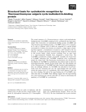 Báo cáo khoa học: Structural basis for cyclodextrin recognition by Thermoactinomyces vulgaris cyclo⁄maltodextrin-binding protein