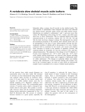 Báo cáo khoa học: A vertebrate slow skeletal muscle actin isoform