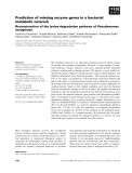 Báo cáo khoa học: Prediction of missing enzyme genes in a bacterial metabolic network Reconstruction of the lysine-degradation pathway ofPseudomonas aeruginosa