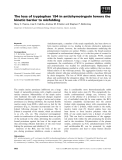 Báo cáo khoa học: The loss of tryptophan 194 in antichymotrypsin lowers the kinetic barrier to misfolding