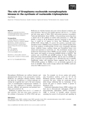 Báo cáo khoa học: The role of Ureaplasma nucleoside monophosphate kinases in the synthesis of nucleoside triphosphates