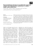 Báo cáo khoa học: Post-translational cleavage of recombinantly expressed nitrilase from Rhodococcus rhodochrous J1 yields a stable, active helical form