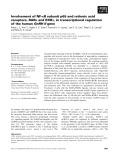 Báo cáo khoa học: Involvement of NF-jB subunit p65 and retinoic acid receptors, RARa and RXRa, in transcriptional regulation of the human GnRH II gene