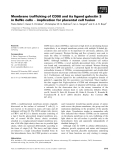 Báo cáo khoa học: Membrane trafﬁcking of CD98 and its ligand galectin 3 in BeWo cells ) implication for placental cell fusion