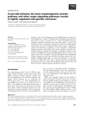 Báo cáo khoa học:  Cross-talk between the bone morphogenetic protein pathway and other major signaling pathways results in tightly regulated cell-speciﬁc outcomes