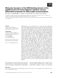 Báo cáo khoa học: Molecular dynamics of the DNA-binding domain of the papillomavirus E2 transcriptional regulator uncover differential properties for DNA target accommodation