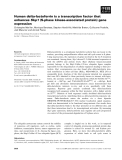 Báo cáo khoa học: Human delta-lactoferrin is a transcription factor that enhances Skp1 (S-phase kinase-associated protein) gene expression