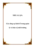 TIỂU LUẬN:Các công cụ kinh tế trong quản lý và bảo vệ môi trường