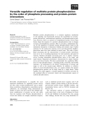 Báo cáo khoa học: Versatile regulation of multisite protein phosphorylation by the order of phosphate processing and protein–protein interactions