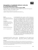 Báo cáo khoa học: Upregulation of endothelial adhesion molecules by lysophosphatidylcholine