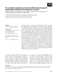 Báo cáo khoa học: An acridone-producing novel multifunctional type III polyketide synthase from Huperzia serrata