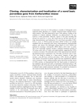 Báo cáo khoa học: Cloning, characterization and localization of a novel basic peroxidase gene from Catharanthus roseus