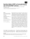 Báo cáo khoa học: Enzymatic oxidation of NADP+ to its 4-oxo derivative is a side-reaction displayed only by the adrenodoxin reductase type of ferredoxin-NADP+ reductases