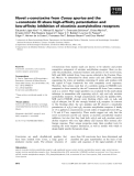 Báo cáo khoa học: Novel a-conotoxins from Conus spurius and the a-conotoxin EI share high-afﬁnity potentiation and low-afﬁnity inhibition of nicotinic acetylcholine receptors