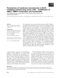 Báo cáo khoa học: Perturbation of membrane microdomains in GLC4 multidrug-resistant lung cancer cells ) modiﬁcation of ABCC1 (MRP1) localization and functionality