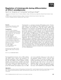 Báo cáo khoa học: Regulation of tristetraprolin during differentiation of 3T3-L1 preadipocytes