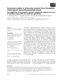 Báo cáo khoa học: Functional studies of active-site mutants from Drosophila melanogaster deoxyribonucleoside kinase Investigations of the putative catalytic glutamate–arginine pair and of residues responsible for substrate speciﬁcity