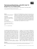 Báo cáo khoa học: The human pyridoxal kinase, a plausible target for ginkgotoxin from Ginkgo biloba