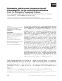 Báo cáo khoa học: Biochemical and structural characterization of mammalian-like purine nucleoside phosphorylase from the Archaeon Pyrococcus furiosus