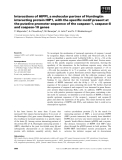 Báo cáo khoa học: Interactions of HIPPI, a molecular partner of Huntingtin interacting protein HIP1, with the speciﬁc motif present at the putative promoter sequence of the caspase-1, caspase-8 and caspase-10 genes