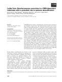 Báo cáo khoa học: Lot6p from Saccharomyces cerevisiae is a FMN-dependent reductase with a potential role in quinone detoxiﬁcation