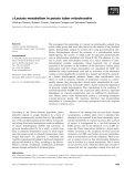 Báo cáo khoa học: L-Lactate metabolism in potato tuber mitochondria