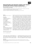 Báo cáo khoa học: Characterization and expression analysis of the aspartic protease gene family of Cynara cardunculus L.