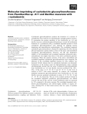Báo cáo khoa học: Molecular imprinting of cyclodextrin glycosyltransferases from Paenibacillus sp. A11 and Bacillus macerans with c-cyclodextrin