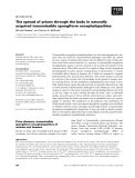 Báo cáo khoa học:  The spread of prions through the body in naturally acquired transmissible spongiform encephalopathies