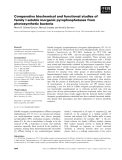 Báo cáo khoa học: Comparative biochemical and functional studies of family I soluble inorganic pyrophosphatases from photosynthetic bacteria