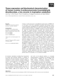 Báo cáo khoa học: Tissue expression and biochemical characterization of human 2-amino 3-carboxymuconate 6-semialdehyde decarboxylase, a key enzyme in tryptophan catabolism