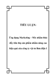 Tiểu luận:  Ứng dụng Marketing – Mix nhằm thúc đẩy tiêu thụ sản phẩm nhằm nâng cao hiệu quả của công ty vật tư Bưu điện I