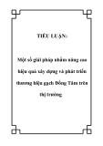 TIỂU LUẬN:  Một số giải pháp nhằm nâng cao hiệu quả xây dựng và phát triển thương hiệu gạch Đồng Tâm trên thị trường