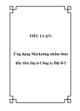 TIỂU LUẬN:  Ứng dụng Marketing nhằm thúc đẩy tiêu thụ ở Công ty Dệt 8-3