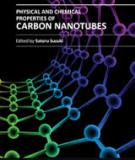 PHYSICAL AND CHEMICAL PROPERTIES OF CARBON NANOTUBES