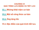 CHƯƠNG 6: QUÁ TRÌNH LƯU ĐỘNG VÀ TIẾT LƯU