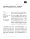 Báo cáo khoa học: Identiﬁcation of an antibacterial protein as L-amino acid oxidase in the skin mucus of rockﬁsh Sebastes schlegeli