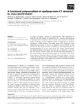 Báo cáo khoa học: A functional polymorphism of apolipoprotein C1 detected by mass spectrometry