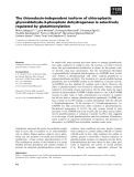 Báo cáo khoa học: The thioredoxin-independent isoform of chloroplastic glyceraldehyde-3-phosphate dehydrogenase is selectively regulated by glutathionylation