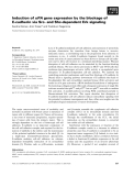 Báo cáo khoa học: Induction of uPA gene expression by the blockage of E-cadherin via Src- and Shc-dependent Erk signaling