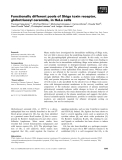 Báo cáo khoa học: Functionally different pools of Shiga toxin receptor, globotriaosyl ceramide, in HeLa cells