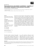 Báo cáo khoa học:  Submembraneous microtubule cytoskeleton: regulation of microtubule assembly by heterotrimeric G proteins