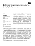 Báo cáo khoa học: Puriﬁcation, microsequencing and cloning of spinach ATP-dependent phosphofructokinase link sequence and function for the plant enzyme